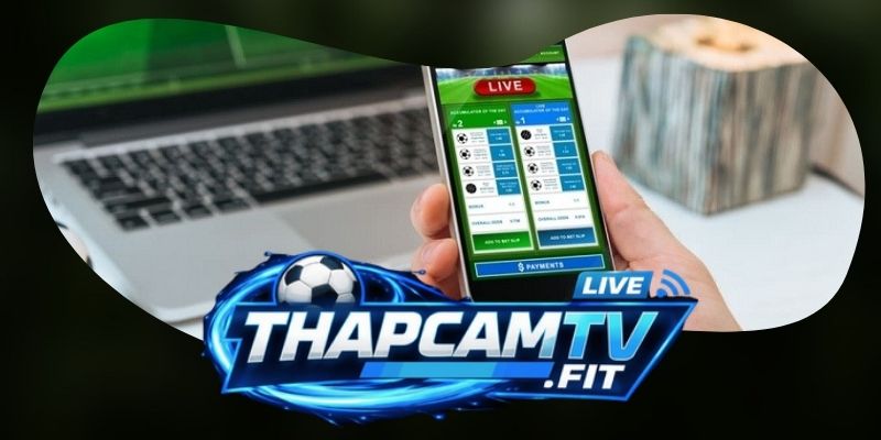 Các thông tin tổng quan về Thapcamtv
